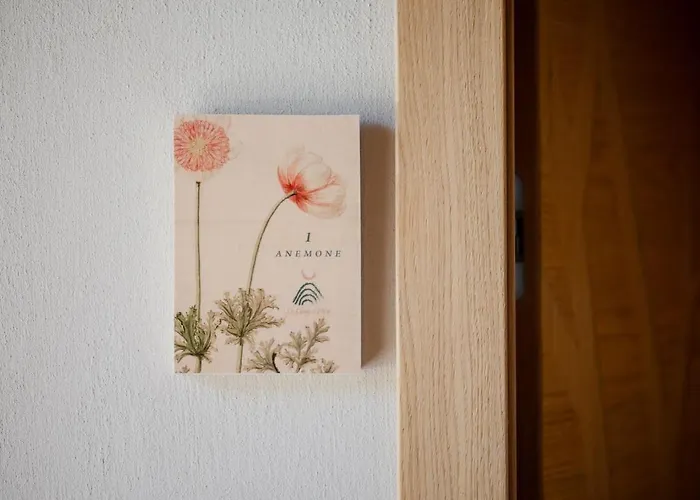 La Caso Di מלון Elva